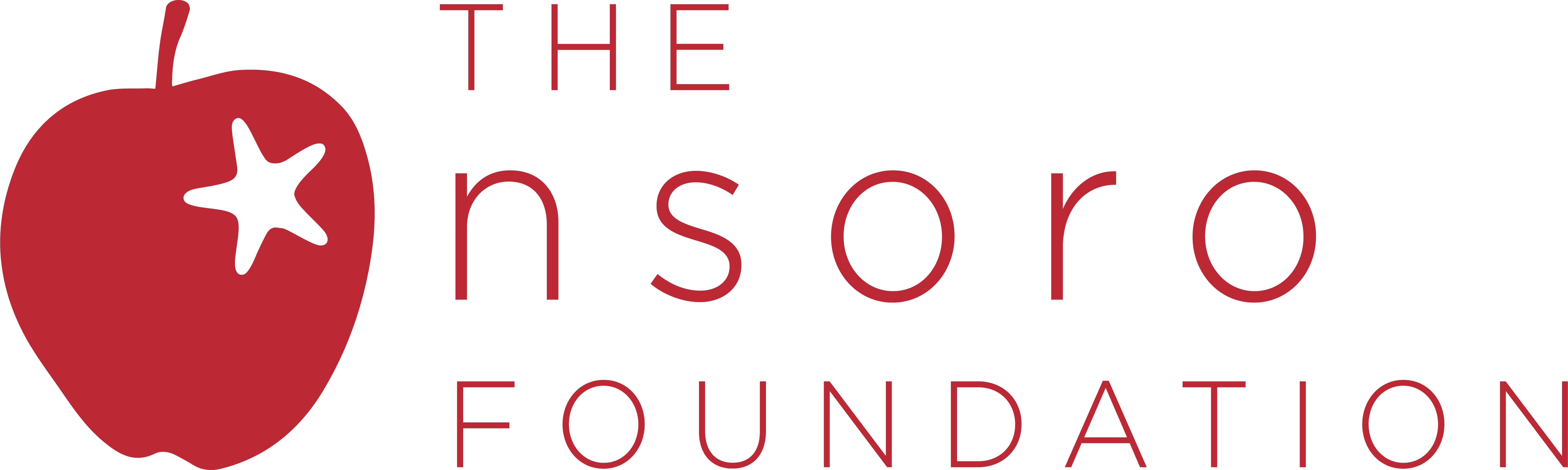 nsoro Foundation logo